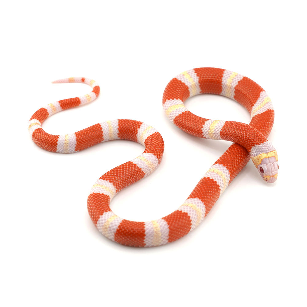 Albino Honduran Milk Snake