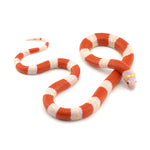 Albino Honduran Milk Snake