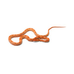 Mandarin Corn Snake