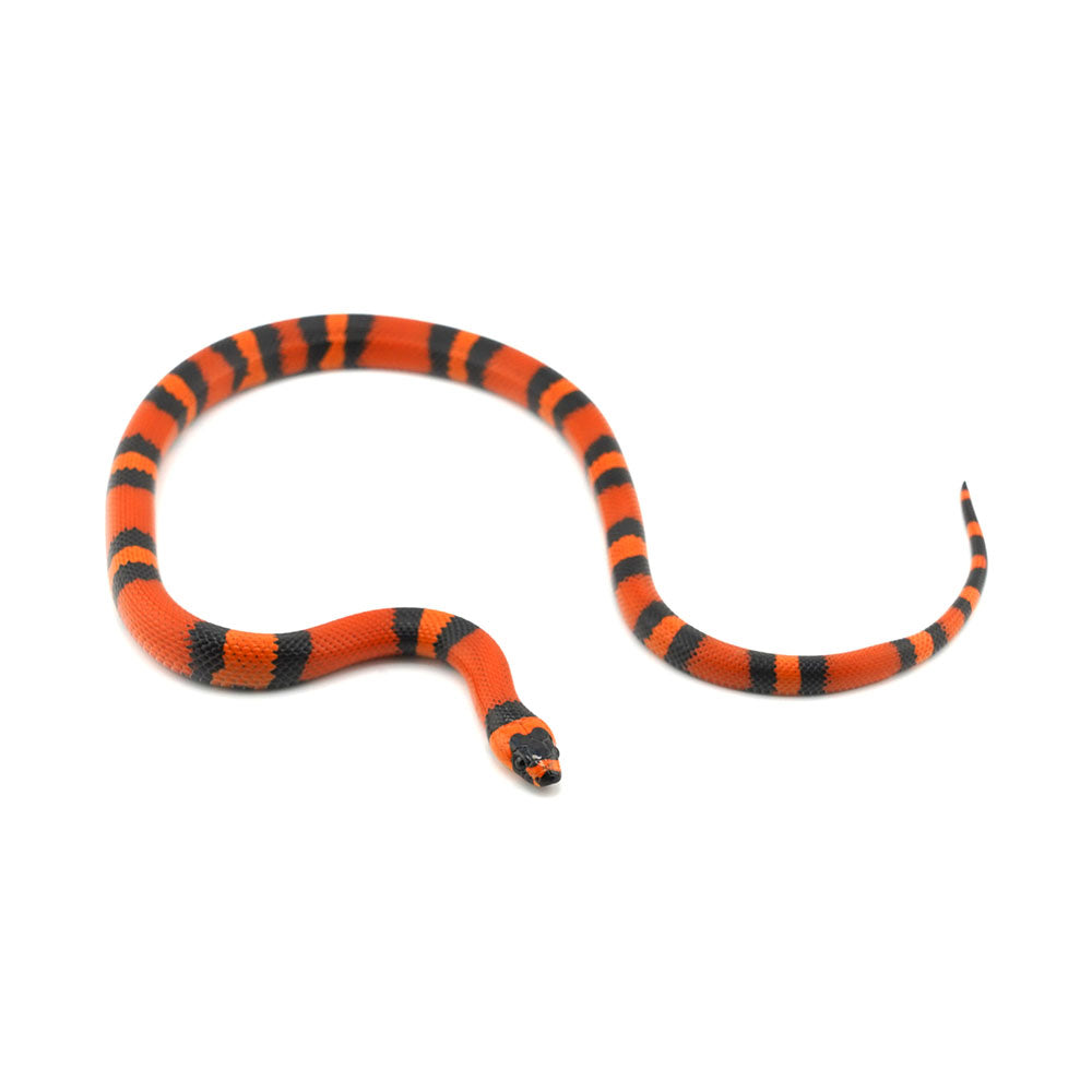 Tangerine Honduran Milk Snake