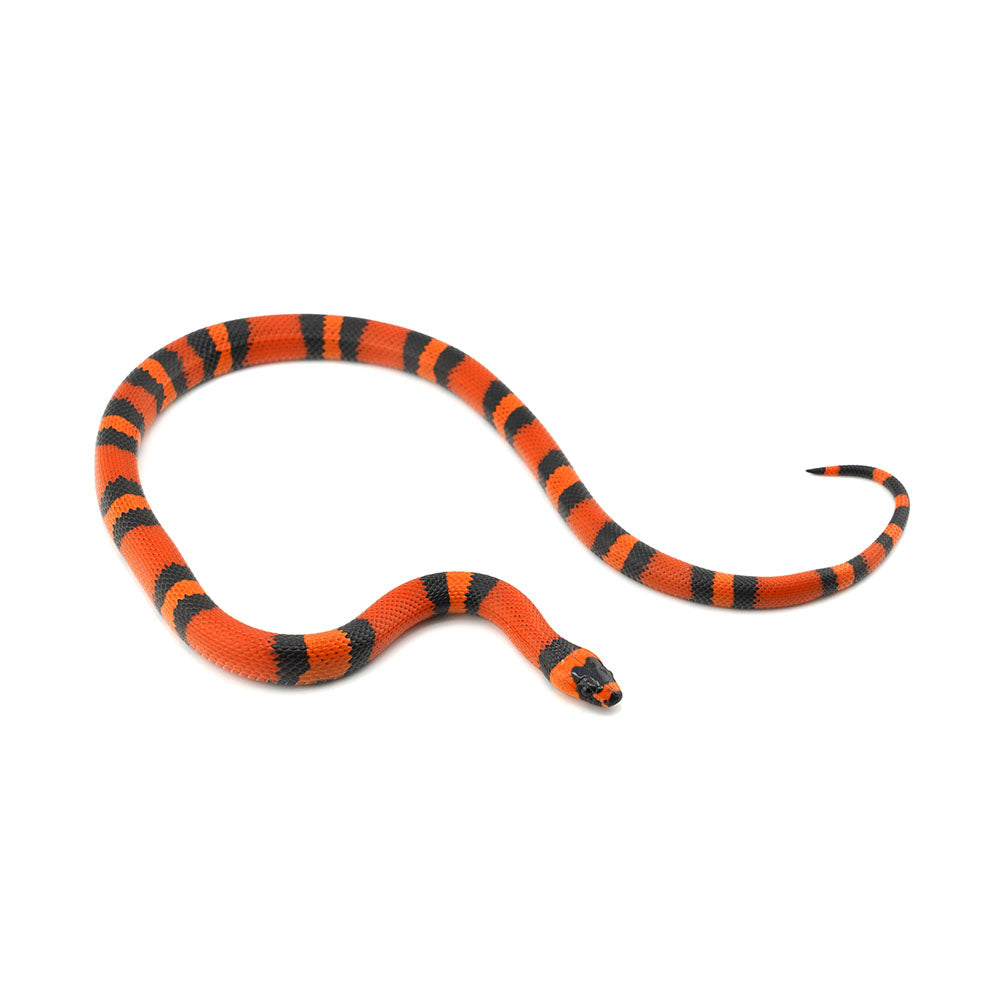Tangerine Honduran Milk Snake