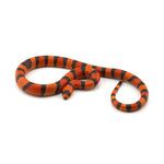 Hypo Tangerine Honduran Milk Snake