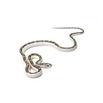 White Sided Black Rat Snake