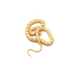 Emory Corn Snake