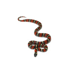 Ruthven's King Snake