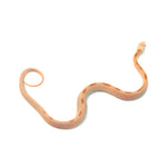 Saffron Striped Corn Snake