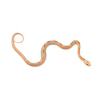 Saffron Striped Corn Snake