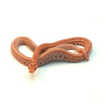 Amel Sunrise Tessera Corn Snake