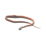 Coral Gohst Sunkissed Striped Corn Snake