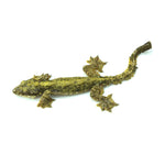 Flying Gecko