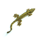Flying Gecko