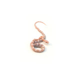 Snow Salmon Corn Snake