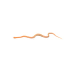 Mandarin Sunkissed Tessera Corn Snake