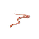 Candy Cane Corn Snake