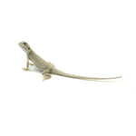 Bearded Dragon Zero