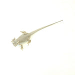 Bearded Dragon Zero