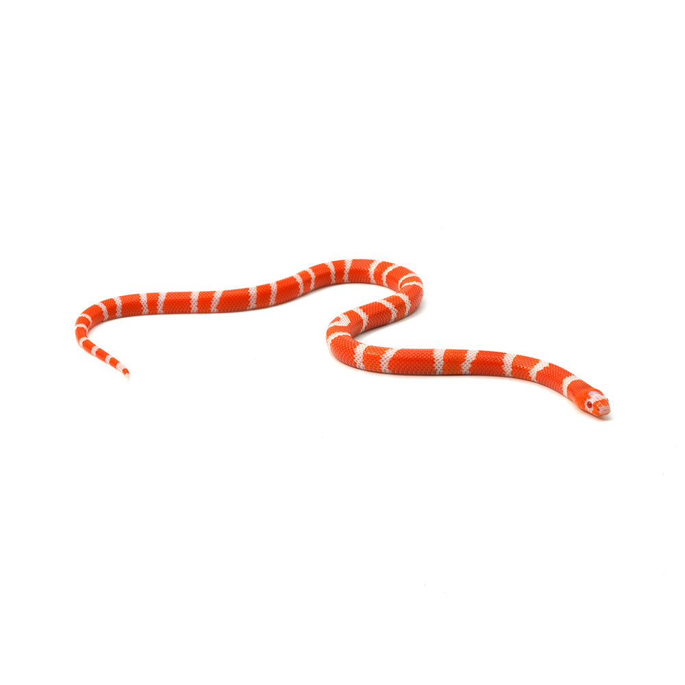 Albino Tangerine Honduran Milk Snake