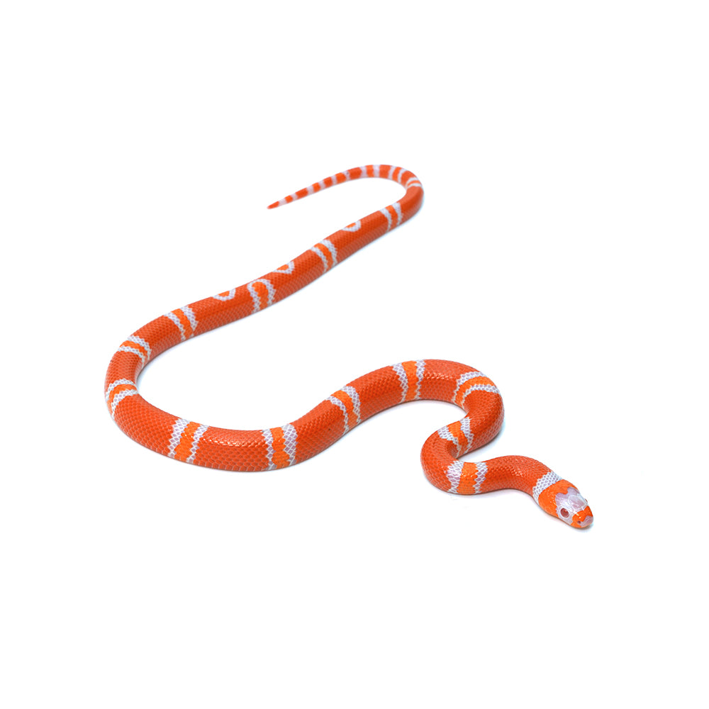 Albino Tangerine Honduran Milk Snake