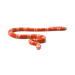Albino Tangerine Honduran Milk Snake