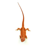 Bearded Dragon Red