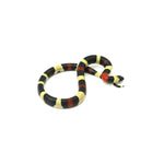 Pueblan Milk Snake