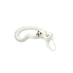 Extreme White Black Belly California Kingsnake