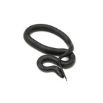 Mexican Black Kingsnake