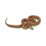Red Hypo Florida Kingsnake