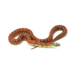 Red Hypo Florida Kingsnake
