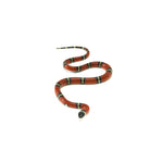 Sinaloan Milk Snake