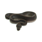 Suma Ball Python