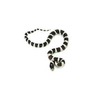 Desert Banded California Kingsnake