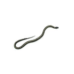 Desert Stripe California Kingsnake