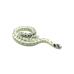 High White California Kingsnake