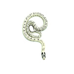 High White California Kingsnake