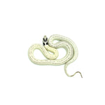 High White California Kingsnake