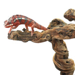 Ambanja Blue Panther Chameleon