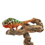 Ambilobe Panther Chameleon