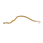 Gold Dust Corn Snake