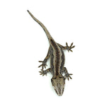 Gargoyle Gecko