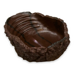 Drinking Bowl Grey S 50ml