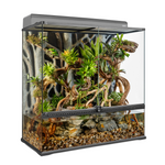 Exo Terra Advanced Paludarium & Rainforest Terrarium Large X-Tall
