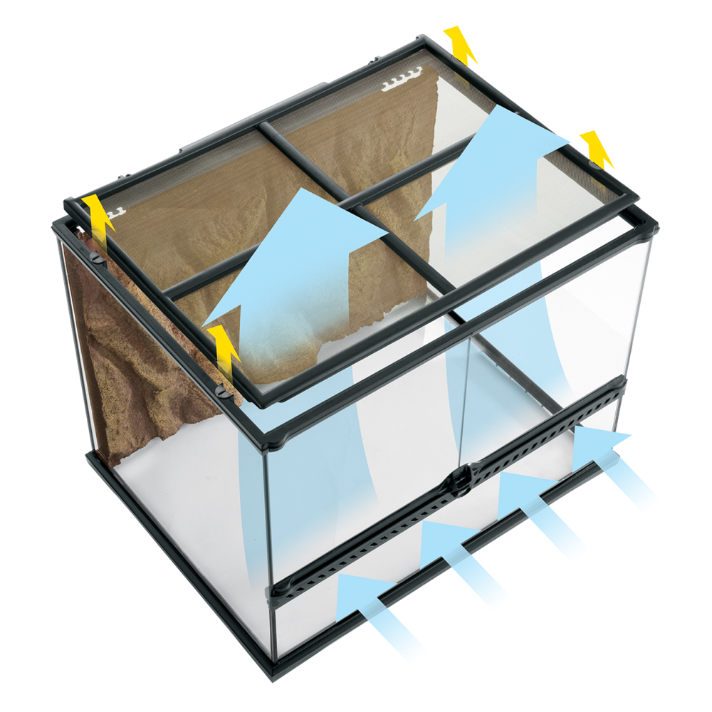 Exo Terra Advanced Paludarium & Rainforest Terrarium Large X-Tall