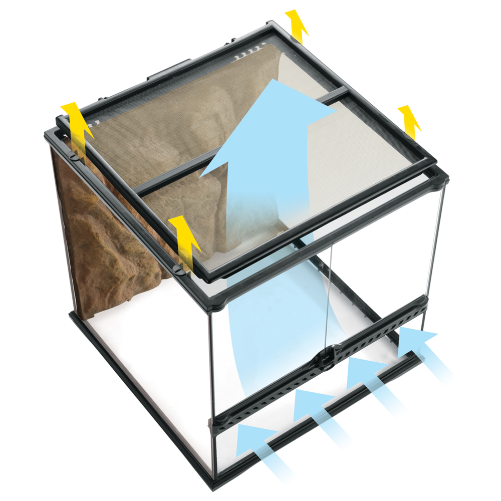 Exo Terra Advanced Paludarium & Rainforest Terrarium Mini X-Tall
