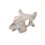 Exo Terra Buffalo Skull White