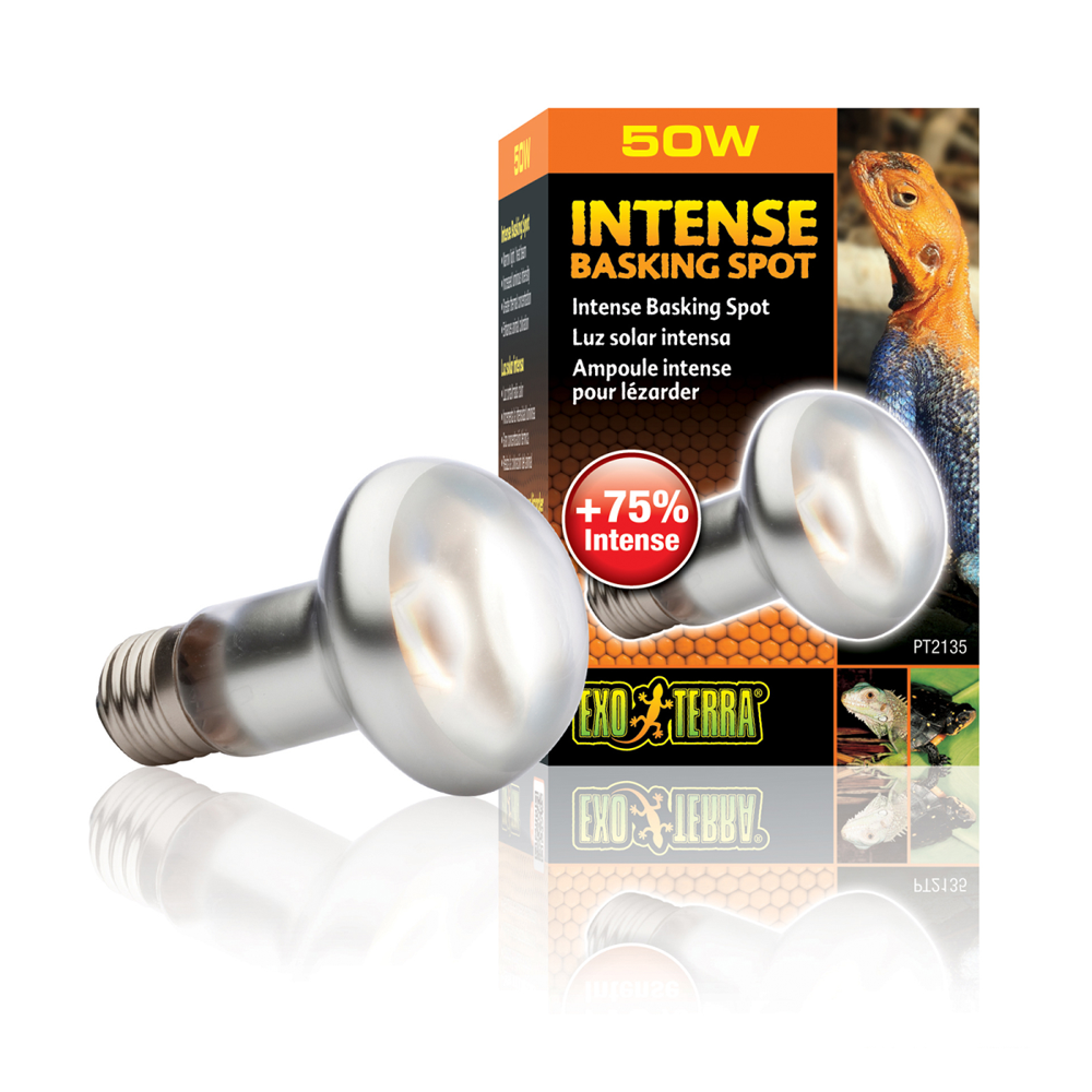 Exo Terra Intense Basking Spot 75W