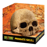 Exo Terra Primate Skull