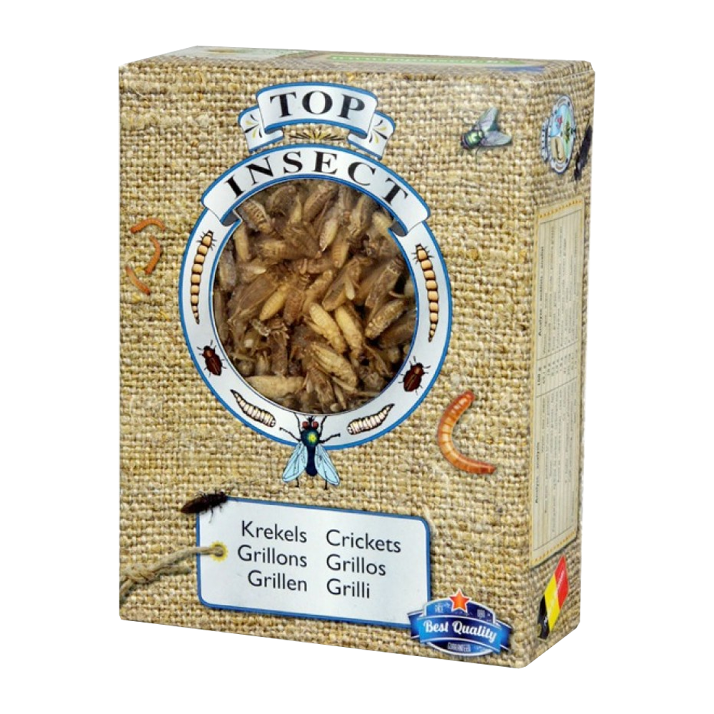 Kiezebrink Frozen Crickets 1 L