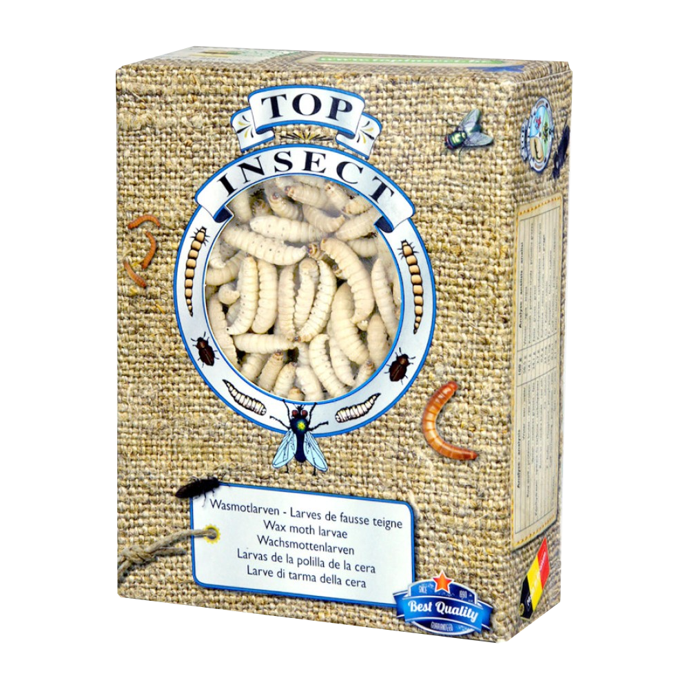 Kiezebrink Frozen Wax Moth Larvae 1 L