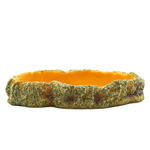 Wacool Reptile Food Dish L